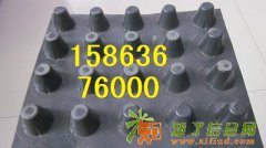 20mm塑料排水板+12mm塑料排水板