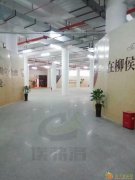 埃弗洛密封固化剂地坪