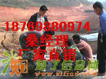 供应成都（1毫米厚土工膜）垃圾填埋场防渗膜