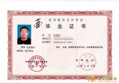 自考 大专 本科 网络专本科 轻松学习