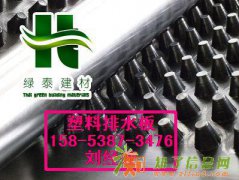 供应天津）2公分凸点排水板%车库绿化隔根板