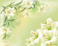 长春淘宝培训网店装修网店代运营淘宝商品摄影