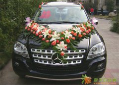 广州旅游租车、商务、婚庆租车、中巴大巴、机场接送