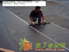 专业楼房屋顶防水 阳台防水 窗户防水