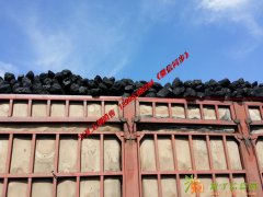 红柳煤，红柳煤炭，红柳烤肉煤，宁夏红柳煤，宁东红柳煤，最新价