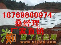 供应养鱼养虾池防渗膜价格H耐酸碱防渗膜&amp;莲藕池防渗膜