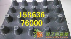 种植塑料排水板/绿化塑料排水板