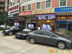 豪华轿车/商务租车/ 机场接送/旅游包车/会议租车