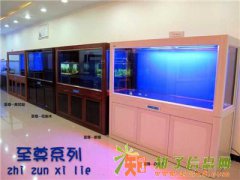 济南专业鱼缸养护