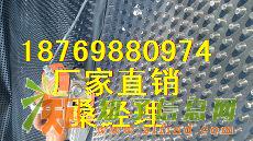 供应【通化屋面绿化种植500*500蓄水板 】