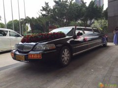 婚车 婚庆租车 租婚车 摄影车 花车 扎花车 礼宾车