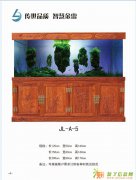 河北金雷鱼缸