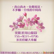 上哪买墓园便宜卧龙墓园墓地限量特惠156-4031-4796