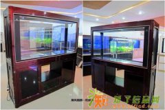 济南高档观赏鱼销售