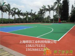 上海师羽塑胶球场