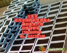 玉灸堂泥灸，减肥泥灸。