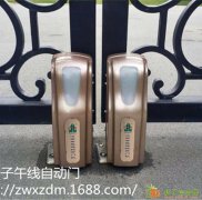 四川直销轮式平开门别墅铁艺门