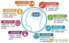 英语想进步首选红杉树