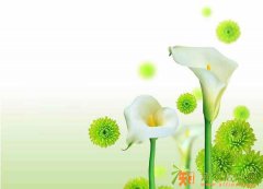 长春网站建设定制APP淘宝天猫代运营网店装修