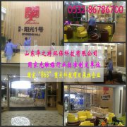 寿光除甲醛 治理室内空气污染要看全