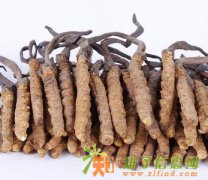 回收片仔癀13811891370回收同仁堂安宫牛黄丸