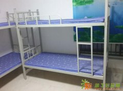 员工床学生床轩木鑫上下床上下铺高架床