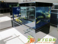 济南水族用品专业销售