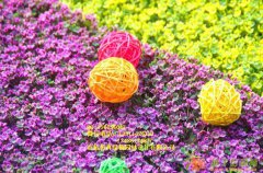 北京厂家制作仿真草坪