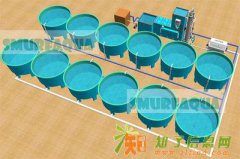 循环水养殖系统 循环水养鱼 工程设计安装与维护