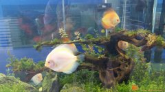 济南水族箱过滤桶