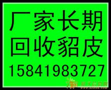 绍兴回收貂皮的绍兴收皮草的绍兴回收皮草的