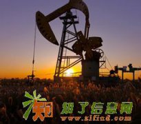 新华大庆投资10万能买几手白银-怎么盈利