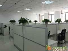 西春路有60平方办公单间出租 租用享税金抵房租优惠