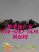 泰州蓄排水板供应-南京楼顶疏水排水板供应