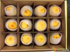 台州哪里批发水果比较好