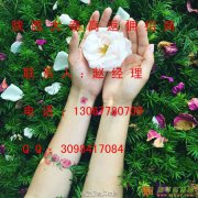 陕西大秦商品招商进行中