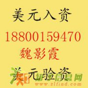 代办美元入资验资业务