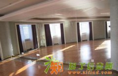 东丽区安装舞蹈镜教师舞蹈镜商场试衣镜专业设计制作安装