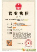 融资租赁公司5000万美元验资