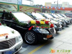 福田租车 南山租车 宝安租车 租中港直通车 婚庆租车