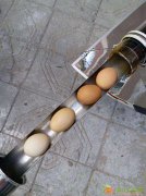 阳光太阳能移动厨房，太阳能小厨。阳光烧烤炉