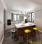 上海上邸室内设计苏正华