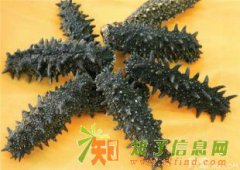 回收东阿阿胶高价回收海参