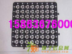 2公分蓄排水板（3公分）楼顶蓄排水板厂家