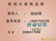 陕西大秦商品招商 快捷 免费