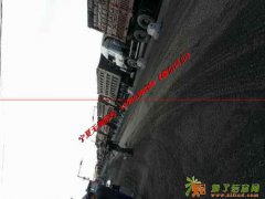 金凤煤，金凤煤矿，神华宁夏煤业集团金凤煤矿