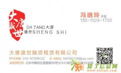 大唐盛世融资租赁有限公司寻求融资项目