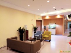 雅思英语从零开始