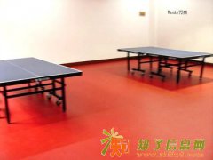 济南旗舰运动地板羽毛球场地地板乒乓球场地地板