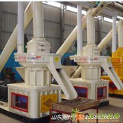 木屑颗粒机 生物质颗粒机 生物质能源颗粒机